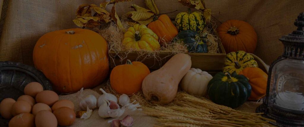RHS Harvest Festival London: UK's Premier Autumn Food & Culture Event
