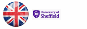 UNIVERSITY OF SHEFFIELD
