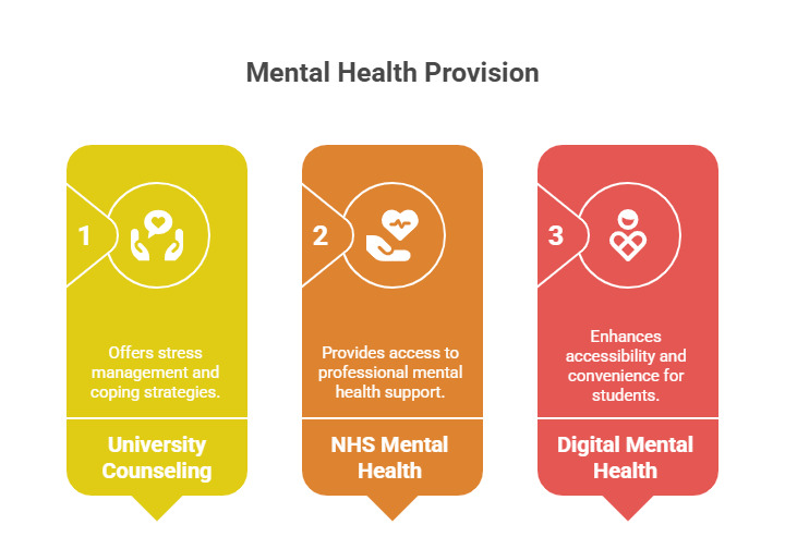 Mental Health Provision